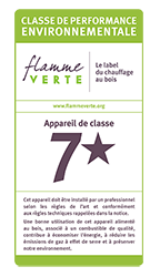 photo flamme verte
