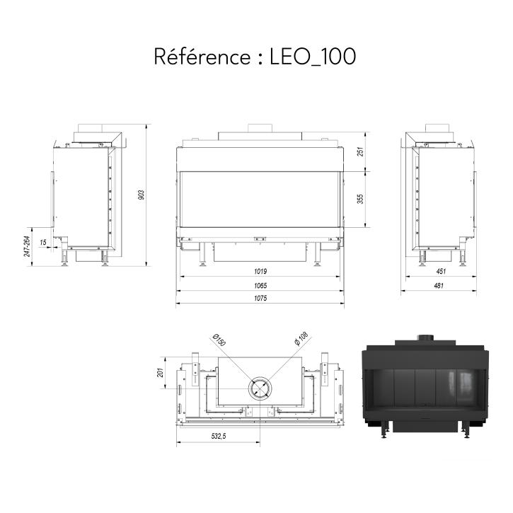 LEO 100