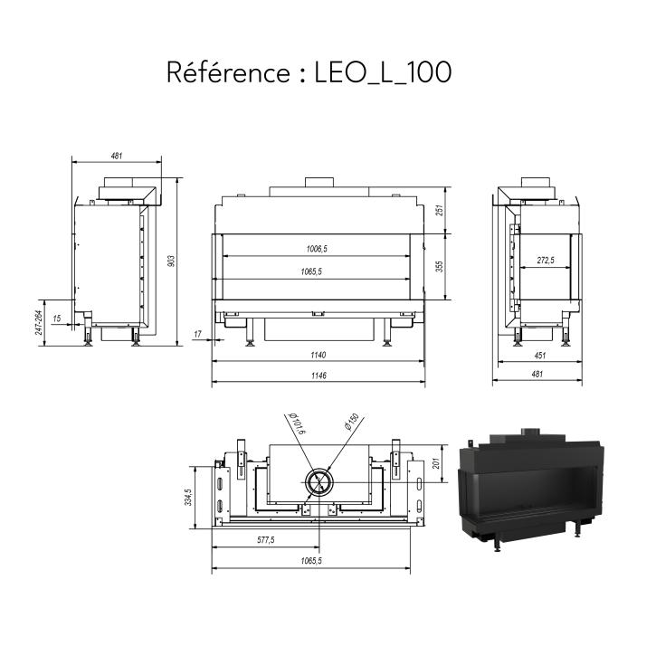 LEO 100